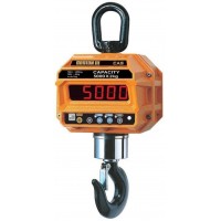 Весы крановые CAS 15THD TW-100